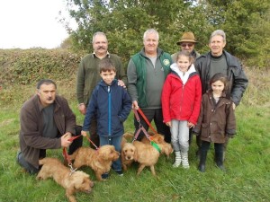 N R D CHIENS_BASSETS_1