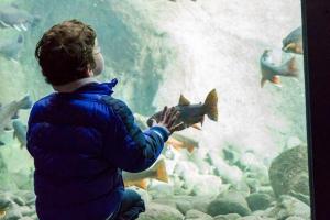 Clientèle tourangelle à 27 %