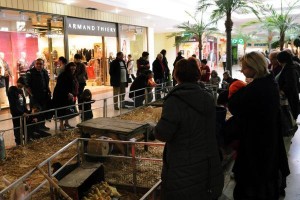 Les animations font désormais partie intégrante de l’image des galeries marchandes.