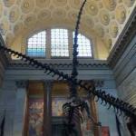 Muséum d'Histoire Naturelle