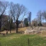 Central Park