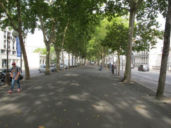 Le 15 août sur le marché aux fleurs.