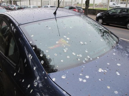 De quoi favoriser la rotation des véhicules!