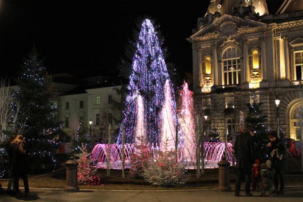 "Mon beau sapin..." Trop tard...
