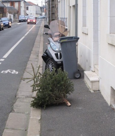 On a jeté le sapin sur le trottoir: et pourquoi pas les coquilles d'huîtres et la carcasse du chapon?